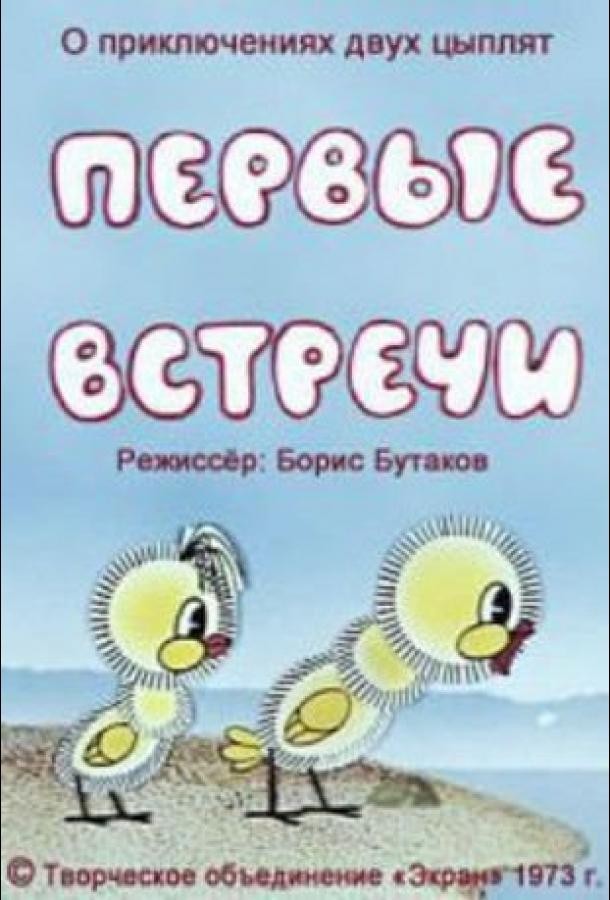 Первые встречи Первые встречи