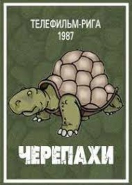 Черепахи Черепахи