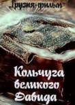 Кольчуга великого Давида