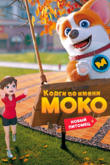 Корги по имени Моко. Новый питомец Корги по имени Моко. Новый питомец